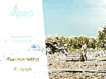 Nesbo